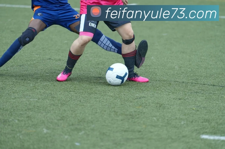 非凡娱乐发展历程